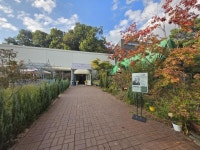 카페 / 경기 파주시 - 점포라인