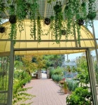 카페 / 경기 파주시 - 점포라인