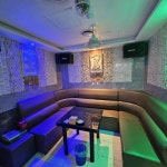 노래방 / 서울 서울 강남구 - 점포라인