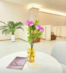 기타서비스업 / 대전시 - 점포라인