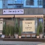 카페 / 경기 평택시 - 점포라인