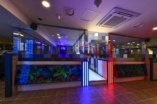 PC방 / 광주시 - 점포라인