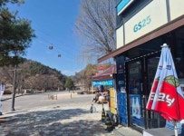 편의점 / 강원도 - 점포라인