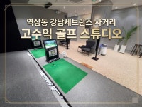 골프연습장 / 서울 서울 강남구 - 점포라인
