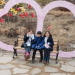 사진갤러리