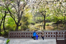  열린마당>공원갤러리  망우리공원 홈페이지
