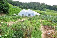 중랑행복1농장<중랑행복농장<도시농업<문화관광<중랑구청