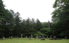 월정사의 풍경 - 문화유산여행 - 이야기 - 문화유산채널 문화유산채널