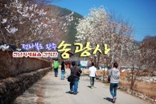 국가유산채널 > 참여 > 자료실 > 이야기 자료 > 상세보기: 천년의 세월을 간직한 전북 완주 송광사 국가유산채널