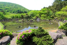 국가유산채널 > 참여 > 자료실 > 이야기 자료 > 상세보기: 제주도 절물자연휴양림 국가유산채널