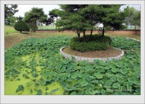 국가유산채널 > 자료실 > 참여 > 이야기 자료 국가유산채널