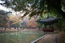 국가유산채널 > 참여 > 자료실 > 이야기 자료 > 상세보기: 창덕궁 후원 애련정 국가유산채널