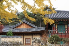 국가유산채널 > 참여 > 자료실 > 이야기 자료 > 상세보기: 상주 남장사 국가유산채널