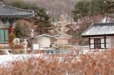국가유산채널 > 참여 > 자료실 > 이야기 자료 > 상세보기: 충남 연기군 비암사 국가유산채널