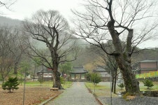 국가유산채널 > 참여 > 자료실 > 이야기 자료 > 상세보기: 비오는 영월 보덕사를 둘러본다. 국가유산채널