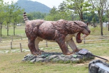 국가유산채널 > 참여 > 자료실 > 이야기 자료 > 상세보기: 연천 전곡리 선사유적지(사적 제 268호) 국가유산채널