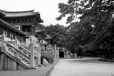 국가유산채널 > 참여 > 자료실 > 이야기 자료 > 상세보기: 경주 불국사 국가유산채널