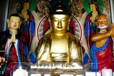 국가유산채널 > 자료실 > 참여 > 이야기 자료 국가유산채널