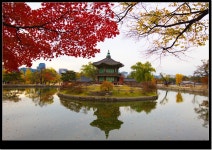 국가유산채널 > 참여 > 자료실 > 이야기 자료 > 상세보기: 가을 단풍에 물든 경복궁 향원정 국가유산채널