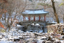송광사포교당(제70호) | 국가유산채널 > 참여 > 자료실 > 이야기 자료 > 상세보기: 송광사 청량각 국가유산채널