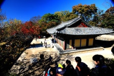 국가유산채널 > 참여 > 자료실 > 이야기 자료 > 상세보기: 불국사 추경 국가유산채널