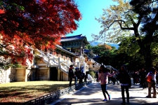 국가유산채널 > 참여 > 자료실 > 이야기 자료 > 상세보기: 불국사 추경 국가유산채널