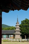 국가유산채널 > 참여 > 자료실 > 이야기 자료 > 상세보기: 경북 칠곡 송림사 오층전탑 (보물 제189호) 국가유산채널