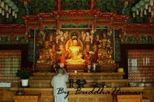 국가유산채널 > 참여 > 자료실 > 이야기 자료 > 상세보기: 명봉사 문종대왕 태실비 국가유산채널