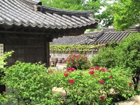 국가유산채널 > 자료실 > 참여 > 이야기 자료 국가유산채널