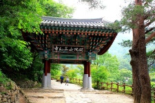 국가유산채널 > 자료실 > 참여 > 이야기 자료 국가유산채널