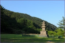 국가유산채널 > 참여 > 자료실 > 이야기 자료 > 상세보기: 양양 진전사지 (강원도 기념물 제52호) 국가유산채널