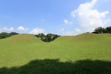 국가유산채널 > 참여 > 자료실 > 이야기 자료 > 상세보기: 신라의 왕릉 경주 오릉[ 慶州 五陵] - 사적 제172호 국가유산채널