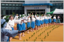 국가유산채널 > 참여 > 자료실 > 이야기 자료 > 상세보기: 남도 들노래 (중요무형문화재 제51호) 국가유산채널