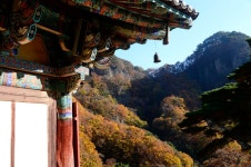 국가유산채널 > 참여 > 자료실 > 이야기 자료 > 상세보기: 원효대사의 숨결 청량사 국가유산채널