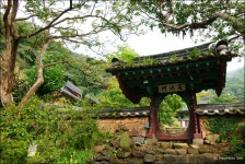 국가유산채널 > 참여 > 자료실 > 이야기 자료 > 상세보기: 아름다운 벚꽃길을 따라, 보성 대원사 국가유산채널