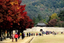 국가유산채널 > 참여 > 자료실 > 이야기 자료 > 상세보기: 역사의 숨결 문경새재 옛길 (명승 제 32호) 국가유산채널