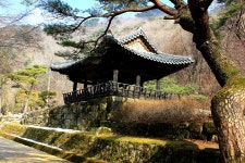 국가유산채널 > 자료실 > 참여 > 이야기 자료 국가유산채널