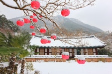 국가유산채널 > 참여 > 자료실 > 이야기 자료 > 상세보기: 나한산 만연사 [ 萬淵寺 ] 국가유산채널