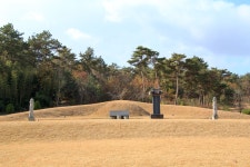 국가유산채널 > 참여 > 자료실 > 이야기 자료 > 상세보기: 추사 김정희의 묘 국가유산채널