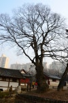 국가유산채널 > 참여 > 자료실 > 이야기 자료 > 상세보기: 심곡서원 (경기도 유형문화재 제7호) 국가유산채널