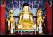 국가유산채널 > 참여 > 자료실 > 이야기 자료 > 상세보기: 선운사영산전목조삼존불상과 선운사범종(전라북도 유형문화재) 국가유산채널