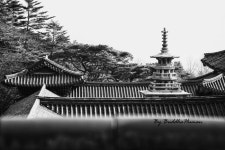 국가유산채널 > 참여 > 자료실 > 이야기 자료 > 상세보기: 불국사 국가유산채널