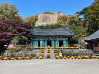 국가유산채널 > 참여 > 자료실 > 이야기 자료 > 상세보기: [여행을 부르는 문화유산 답사기] 동학농민군과 함께 걷는 길 국가유산채널