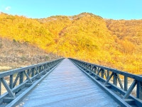 국가유산채널 > 자료실 > 참여 > 이야기 자료 국가유산채널