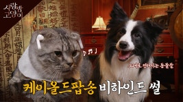 국가유산채널 > 테마검색 > 키워드 연관 검색 국가유산채널