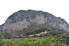 국가유산채널 > 참여 > 자료실 > 사진 자료 > 상세보기: 제주 서귀포 산방산(濟州 山房山 岩壁植物地帶) 천연기념물 제376호 국가유산채널