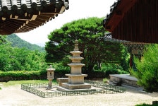 국가유산채널 > 참여 > 자료실 > 사진 자료 > 상세보기: 동화사 금당암 동서 삼층석탑 국가유산채널
