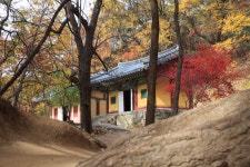 국가유산채널 > 참여 > 자료실 > 사진 자료 > 상세보기: 영주 북지리 석조여래좌상 국가유산채널