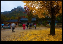 국가유산채널 > 참여 > 자료실 > 사진 자료 > 상세보기: 청송 대전사 보광전(보물 제1570호) 국가유산채널