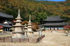 국가유산채널 > 참여 > 자료실 > 사진 자료 > 상세보기: 보림사삼층석탑 국가유산채널